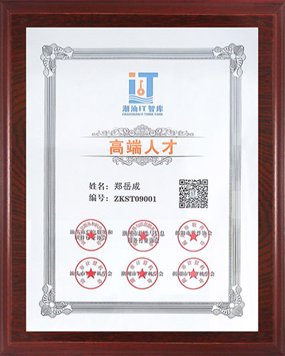 6组织：潮汕IT智库高端人才.jpg